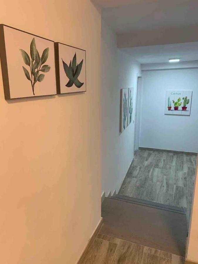 דירות Mogán Casa Hana מראה חיצוני תמונה
